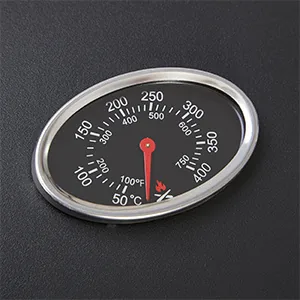 Wholesale Charcoal BBQ Grill AY-GCTY-003-1C detail view 4